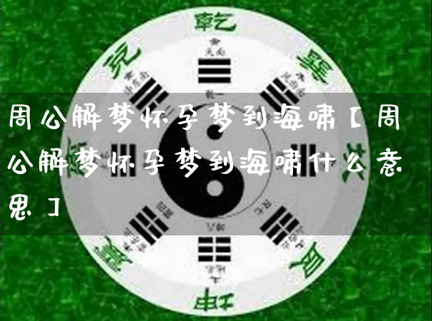 周公解梦怀孕梦到海啸【周公解梦怀孕梦到海啸什么意思】_https://www.nbtfsb.com_八字算命_第1张