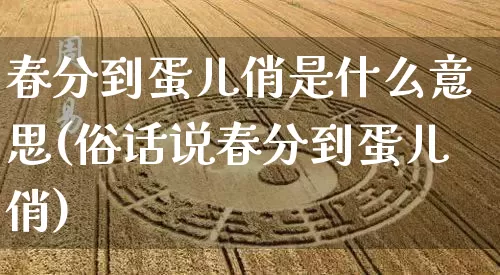 春分到蛋儿俏是什么意思(俗话说春分到蛋儿俏)_https://www.nbtfsb.com_八字算命_第1张