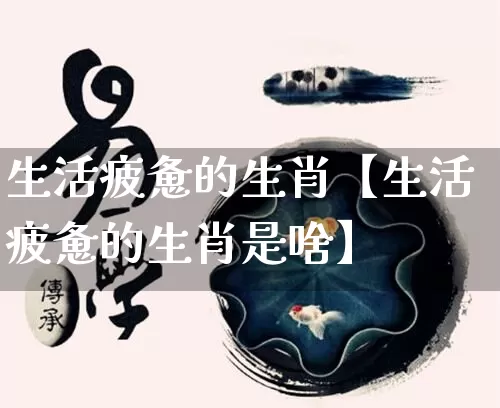 生活疲惫的生肖【生活疲惫的生肖是啥】_https://www.nbtfsb.com_周公解梦_第1张