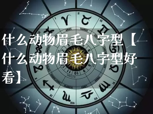 什么动物眉毛八字型【什么动物眉毛八字型好看】_https://www.nbtfsb.com_道源国学_第1张