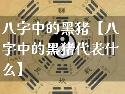 八字中的黑猪【八字中的黑猪代表什么】_https://www.nbtfsb.com_国学动态_第1张