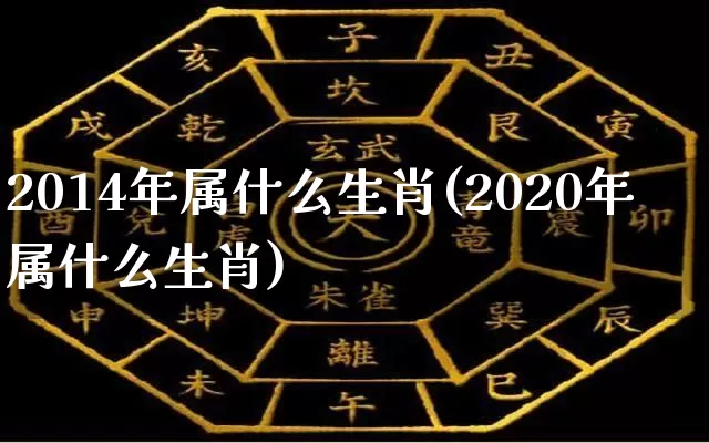 2014年属什么生肖(2020年属什么生肖)_https://www.nbtfsb.com_道源国学_第1张