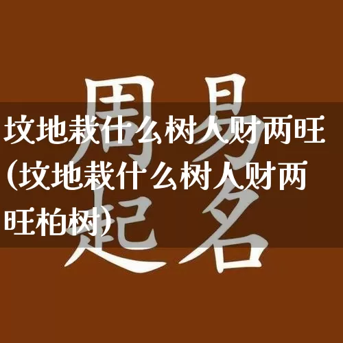 坟地栽什么树人财两旺(坟地栽什么树人财两旺柏树)_https://www.nbtfsb.com_易经起名_第1张