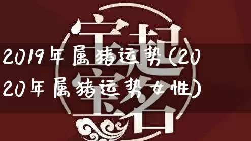 2019年属猪运势(2020年属猪运势女性)_https://www.nbtfsb.com_八字算命_第1张