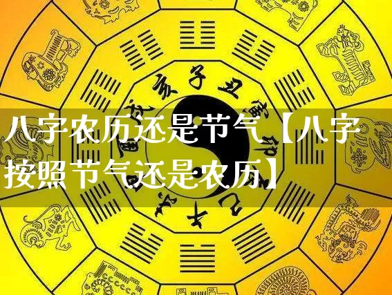 八字农历还是节气【八字按照节气还是农历】_https://www.nbtfsb.com_生肖星座_第1张