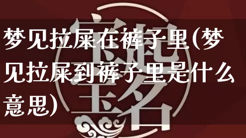 梦见拉屎在裤子里(梦见拉屎到裤子里是什么意思)_https://www.nbtfsb.com_周公解梦_第1张