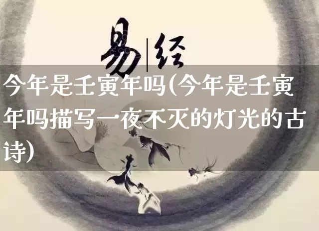 今年是壬寅年吗(今年是壬寅年吗描写一夜不灭的灯光的古诗)_https://www.nbtfsb.com_周公解梦_第1张