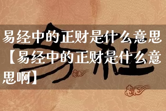 易经中的正财是什么意思【易经中的正财是什么意思啊】_https://www.nbtfsb.com_八字算命_第1张