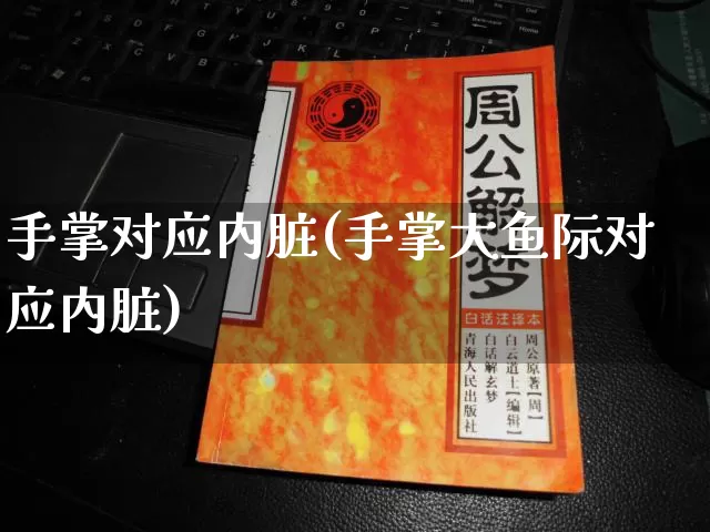 手掌对应内脏(手掌大鱼际对应内脏)_https://www.nbtfsb.com_八字算命_第1张