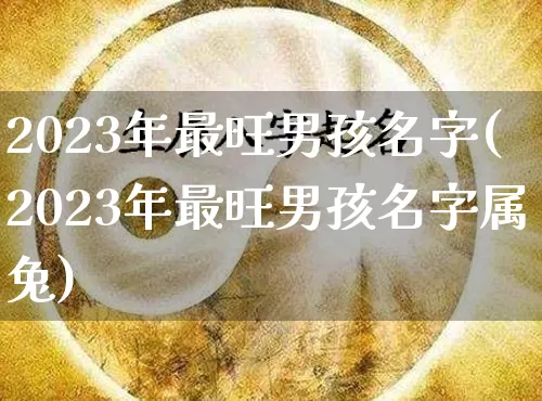 2023年最旺男孩名字(2023年最旺男孩名字属兔)_https://www.nbtfsb.com_国学动态_第1张