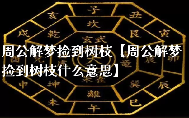 周公解梦捡到树枝【周公解梦捡到树枝什么意思】_https://www.nbtfsb.com_易经起名_第1张