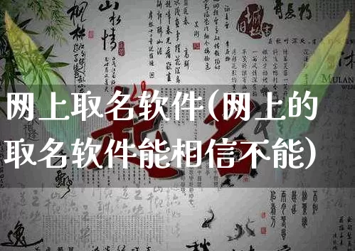 网上取名软件(网上的取名软件能相信不能)_https://www.nbtfsb.com_周公解梦_第1张