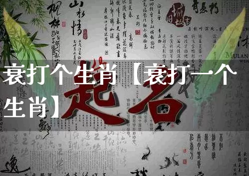 衰打个生肖【衰打一个生肖】_https://www.nbtfsb.com_道源国学_第1张