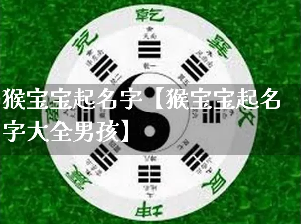 猴宝宝起名字【猴宝宝起名字大全男孩】_https://www.nbtfsb.com_道源国学_第1张