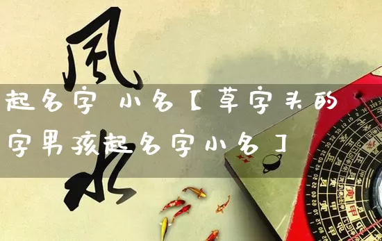 起名字 小名【草字头的字男孩起名字小名】_https://www.nbtfsb.com_生肖星座_第1张