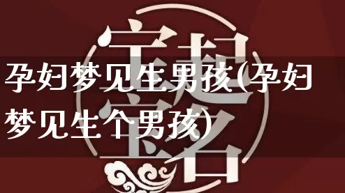 孕妇梦见生男孩(孕妇梦见生个男孩)_https://www.nbtfsb.com_易经起名_第1张