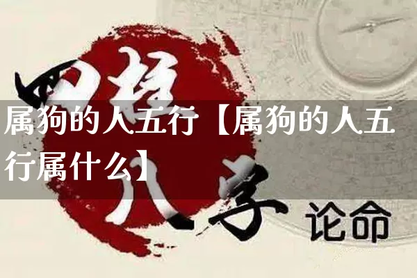 属狗的人五行【属狗的人五行属什么】_https://www.nbtfsb.com_周公解梦_第1张