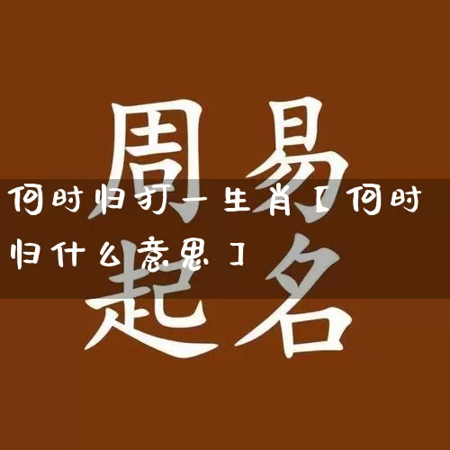 何时归打一生肖【何时归什么意思】_https://www.nbtfsb.com_易经起名_第1张