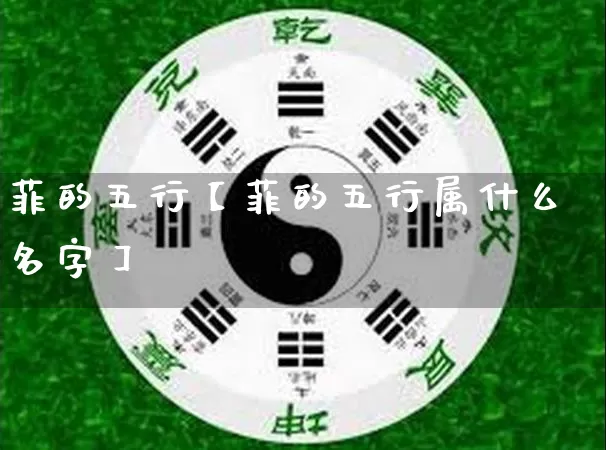 菲的五行【菲的五行属什么名字】_https://www.nbtfsb.com_五行风水_第1张