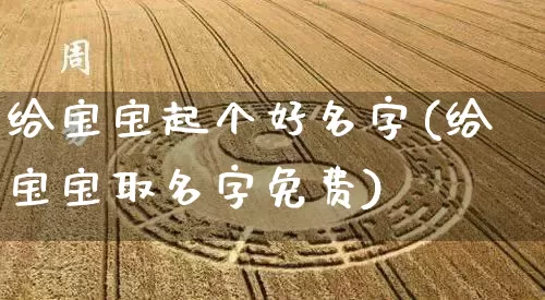 给宝宝起个好名字(给宝宝取名字免费)_https://www.nbtfsb.com_八字算命_第1张