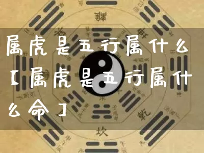 属虎是五行属什么【属虎是五行属什么命】_https://www.nbtfsb.com_五行风水_第1张