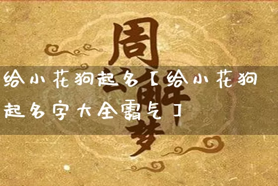 给小花狗起名【给小花狗起名字大全霸气】_https://www.nbtfsb.com_国学动态_第1张