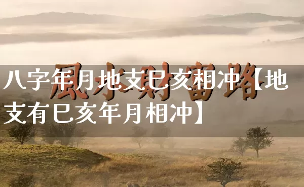 八字年月地支巳亥相冲【地支有巳亥年月相冲】_https://www.nbtfsb.com_国学动态_第1张