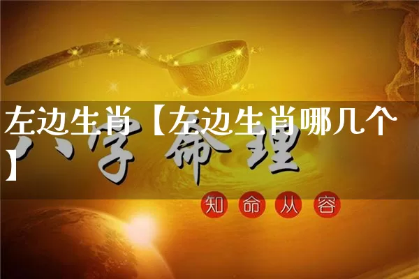 左边生肖【左边生肖哪几个】_https://www.nbtfsb.com_周公解梦_第1张