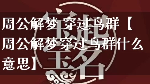 周公解梦 穿过鸟群【周公解梦穿过鸟群什么意思】_https://www.nbtfsb.com_道源国学_第1张