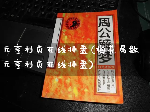 元亨利贞在线排盘(梅花易数元亨利贞在线排盘)_https://www.nbtfsb.com_国学动态_第1张