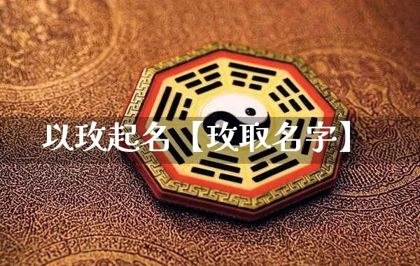 以玫起名【玫取名字】_https://www.nbtfsb.com_易经起名_第1张