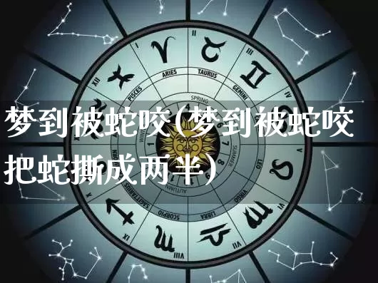 梦到被蛇咬(梦到被蛇咬把蛇撕成两半)_https://www.nbtfsb.com_国学动态_第1张