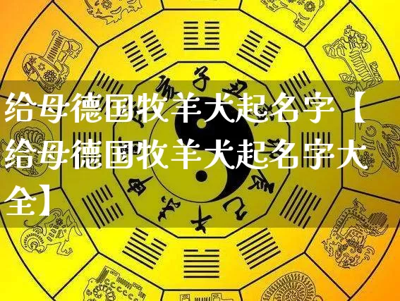 给母德国牧羊犬起名字【给母德国牧羊犬起名字大全】_https://www.nbtfsb.com_八字算命_第1张