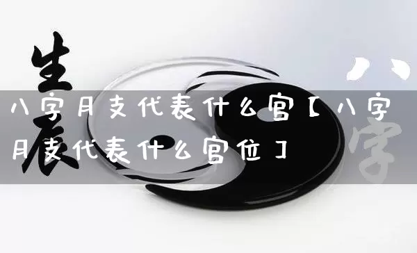 八字月支代表什么宫【八字月支代表什么宫位】_https://www.nbtfsb.com_生肖星座_第1张