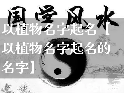 以植物名字起名【以植物名字起名的名字】_https://www.nbtfsb.com_道源国学_第1张