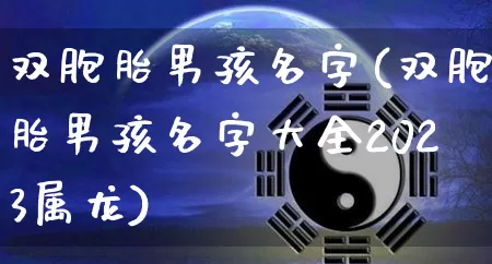 双胞胎男孩名字(双胞胎男孩名字大全2023属龙)_https://www.nbtfsb.com_易经起名_第1张