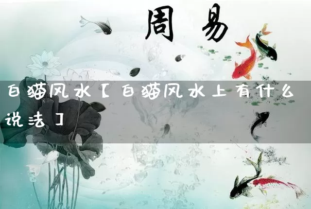 白猫风水【白猫风水上有什么说法】_https://www.nbtfsb.com_八字算命_第1张