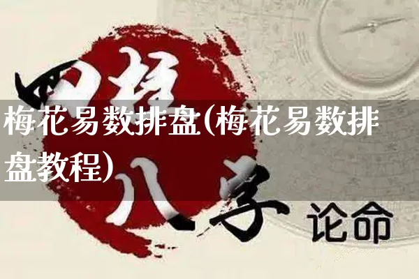 梅花易数排盘(梅花易数排盘教程)_https://www.nbtfsb.com_易经起名_第1张