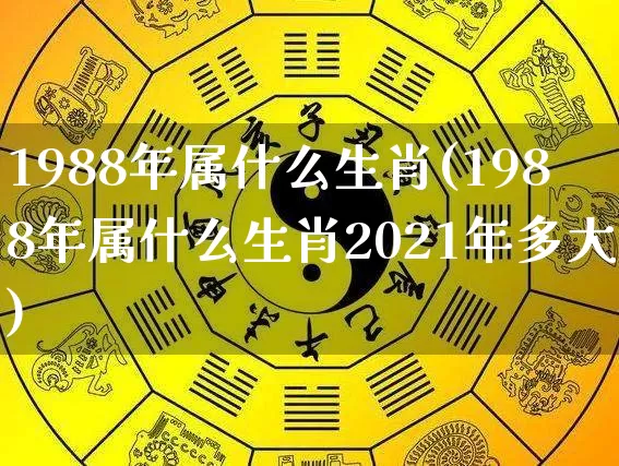 1988年属什么生肖(1988年属什么生肖2021年多大)_https://www.nbtfsb.com_八字算命_第1张