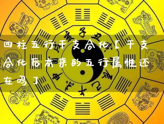 四柱五行干支合化【干支合化后本来的五行属性还在吗】_https://www.nbtfsb.com_五行风水_第1张