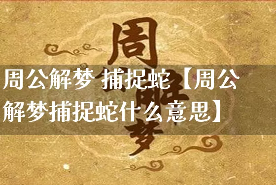 周公解梦 捕捉蛇【周公解梦捕捉蛇什么意思】_https://www.nbtfsb.com_八字算命_第1张