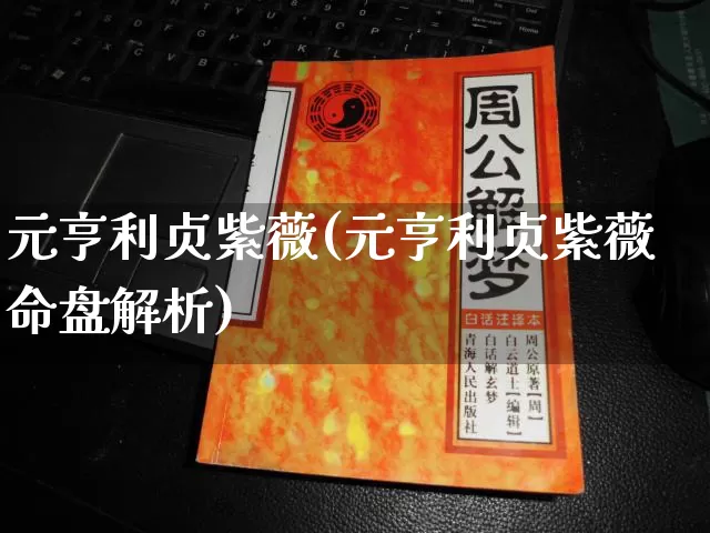 元亨利贞紫薇(元亨利贞紫薇命盘解析)_https://www.nbtfsb.com_八字算命_第1张