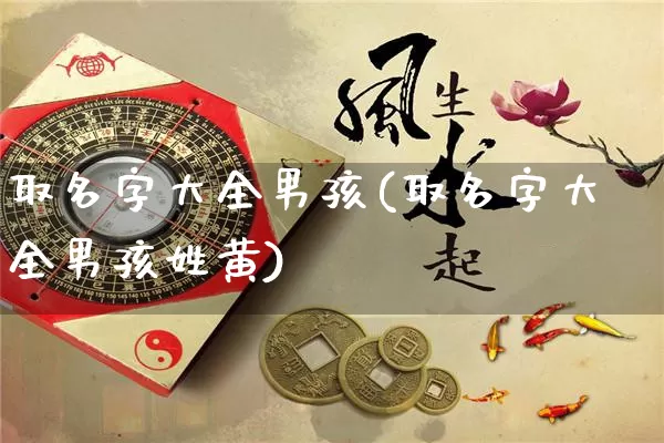 取名字大全男孩(取名字大全男孩姓黄)_https://www.nbtfsb.com_易经起名_第1张