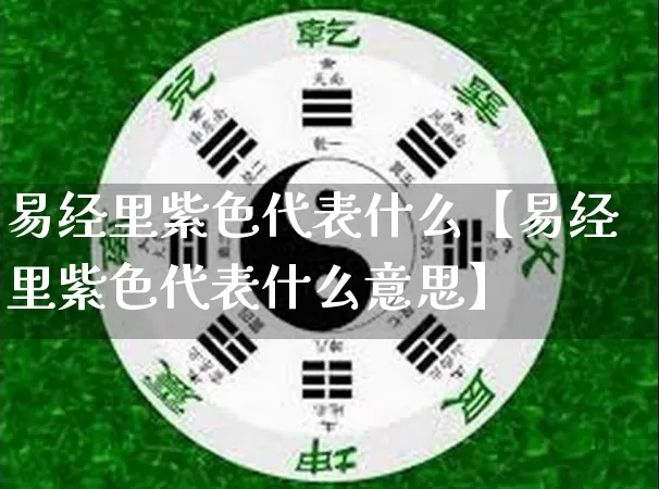 易经里紫色代表什么【易经里紫色代表什么意思】_https://www.nbtfsb.com_道源国学_第1张