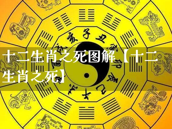 十二生肖之死图解【十二生肖之死】_https://www.nbtfsb.com_五行风水_第1张