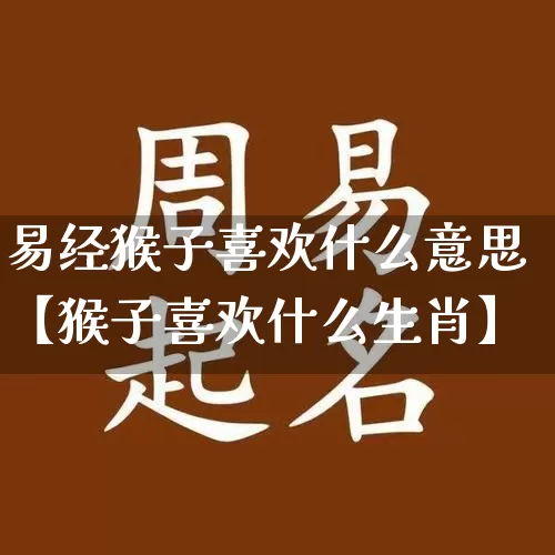 易经猴子喜欢什么意思【猴子喜欢什么生肖】_https://www.nbtfsb.com_周公解梦_第1张