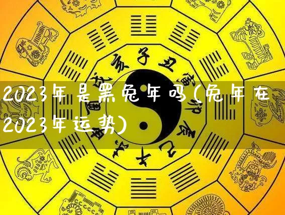 2023年是黑兔年吗(兔年在2023年运势)_https://www.nbtfsb.com_生肖星座_第1张