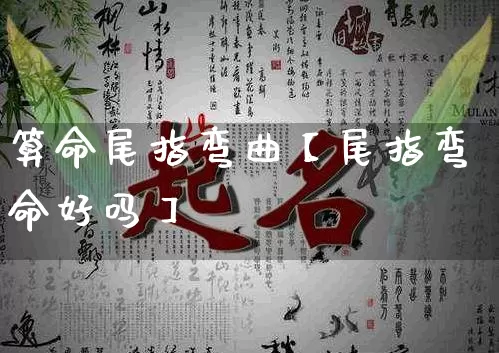 算命尾指弯曲【尾指弯命好吗】_https://www.nbtfsb.com_道源国学_第1张