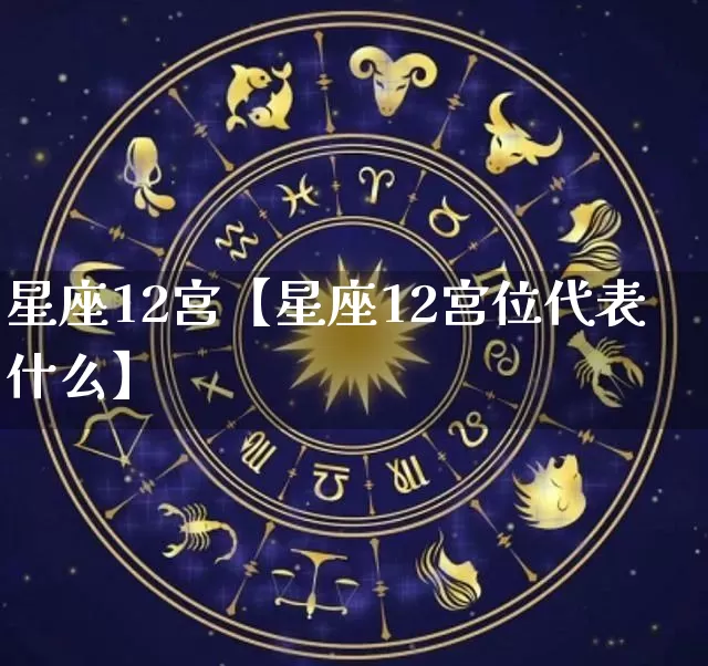 星座12宫【星座12宫位代表什么】_https://www.nbtfsb.com_国学动态_第1张