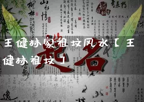 王健林家祖坟风水【王健林祖坟】_https://www.nbtfsb.com_国学动态_第1张